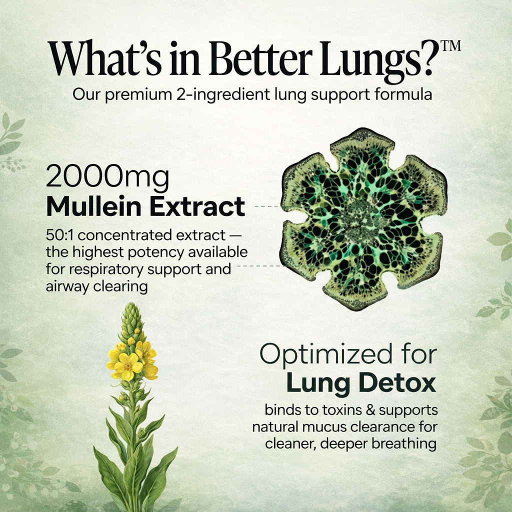 Original Mullein Gummies